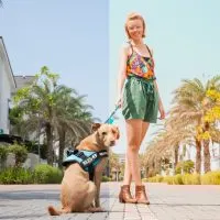 instagram lightroom preset tutorial