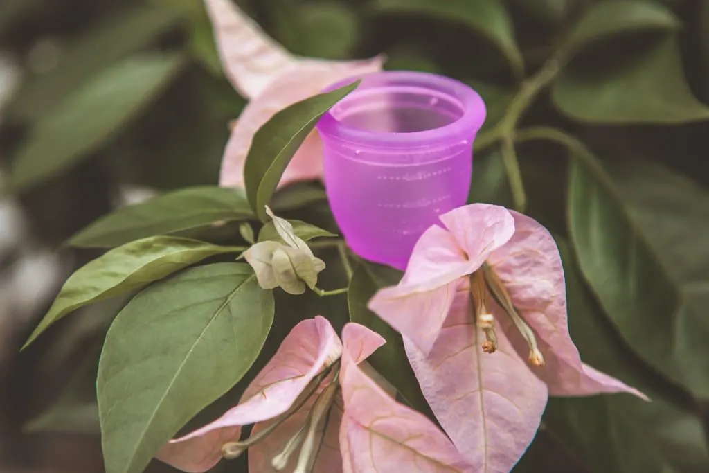 Eco-Friendly Travel Essentials - Menstrual Cup