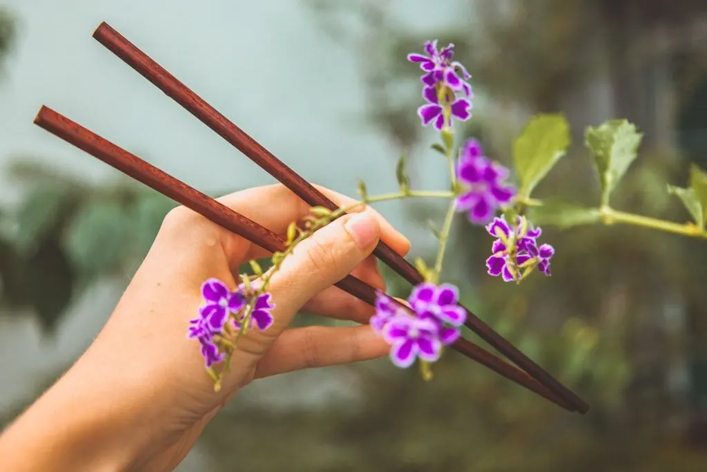 Eco-Friendly Travel Essentials - chopsticks cutlery
