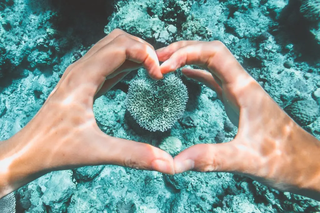 Eco-Friendly Travel Sunscreen Ocean