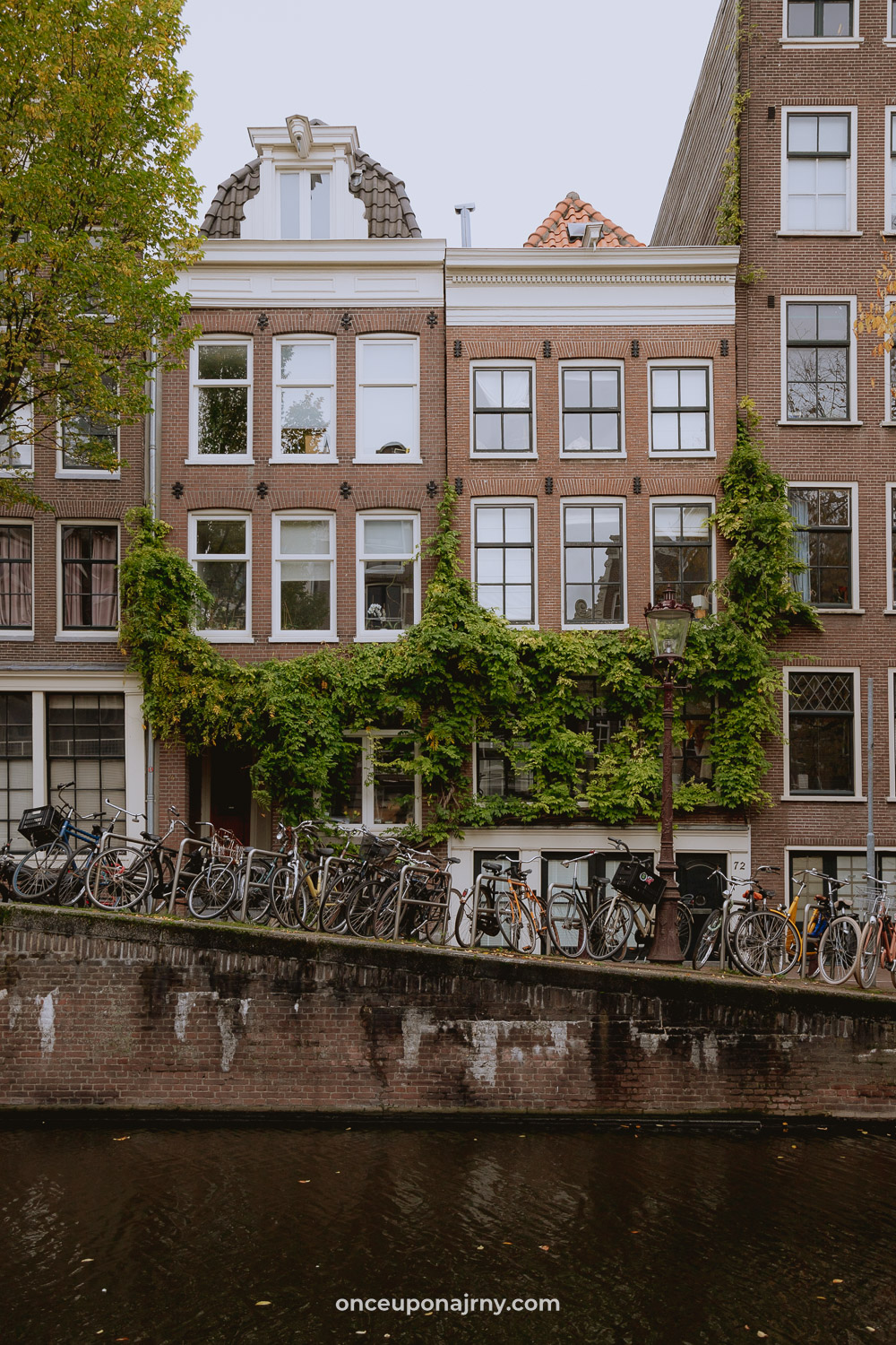 Top things to do in Amsterdam